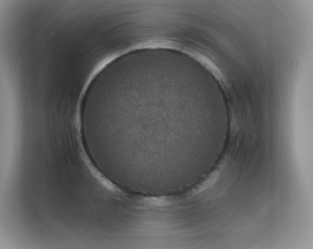 X0000112150990200908071112