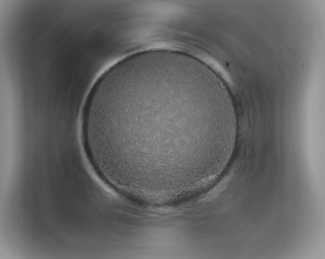 X0000112150991200908071112
