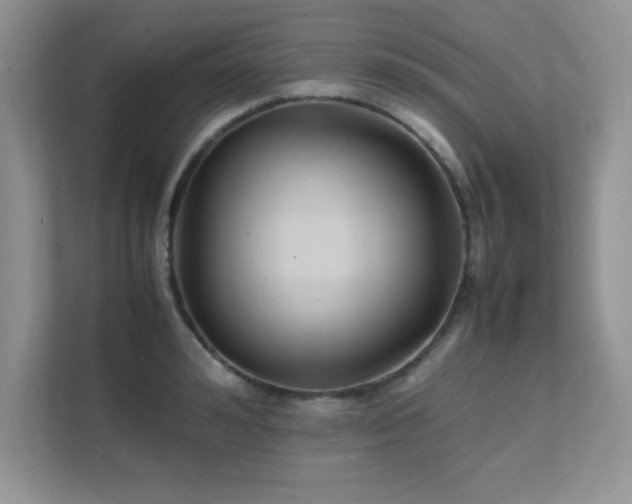X0000112150992200908071112