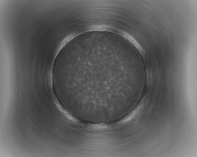 X0000112150994200908071112