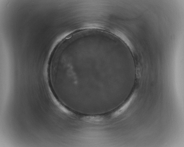 X0000112150995200908071112