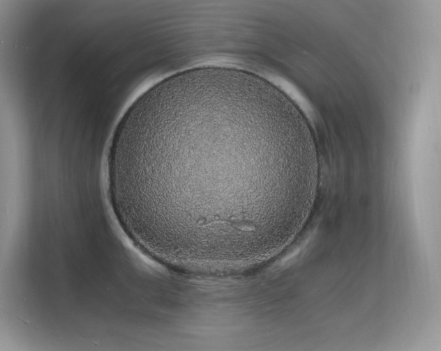 X0000112150999200908071112