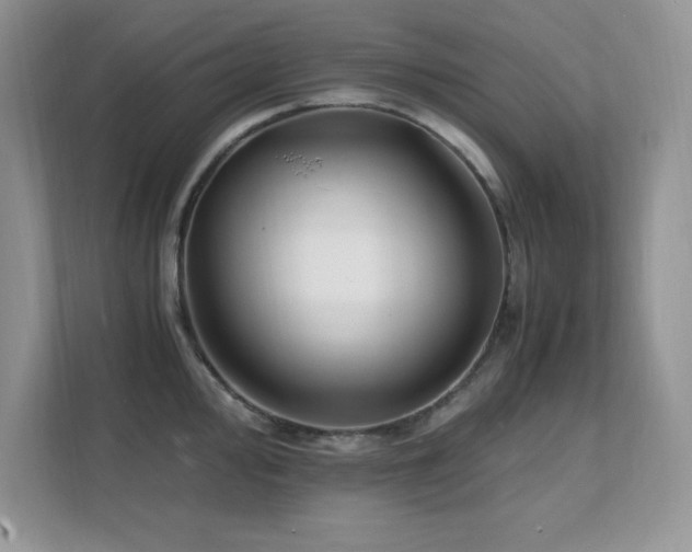 X0000112151000200908071112