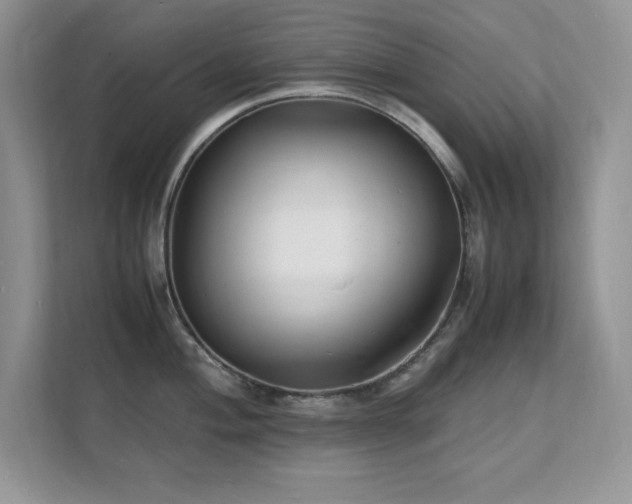 X0000112151004200908071112