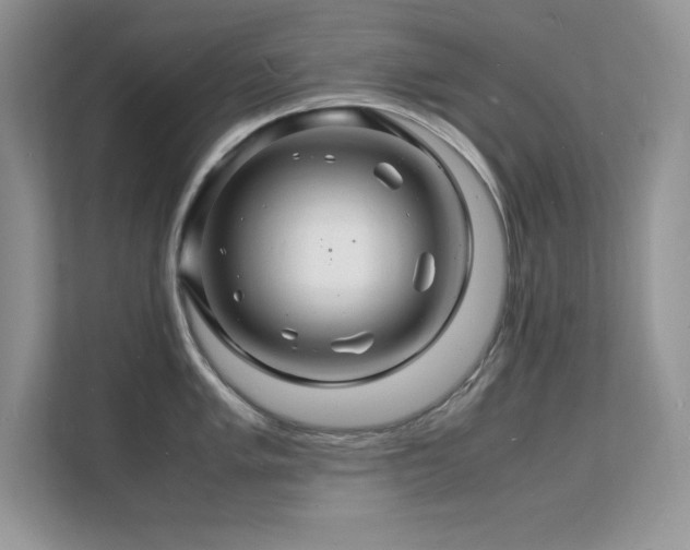 X0000112151005200908071112