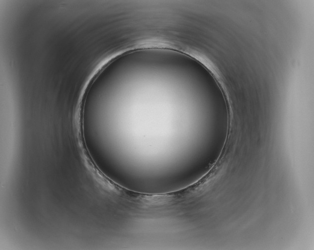 X0000112151008200908071112