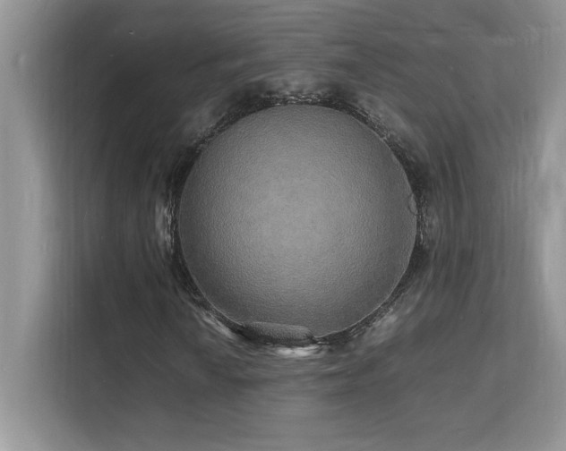 X0000112151010200908071111