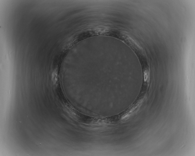 X0000112151011200908071111