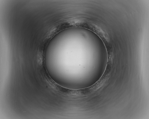 X0000112151012200908071111