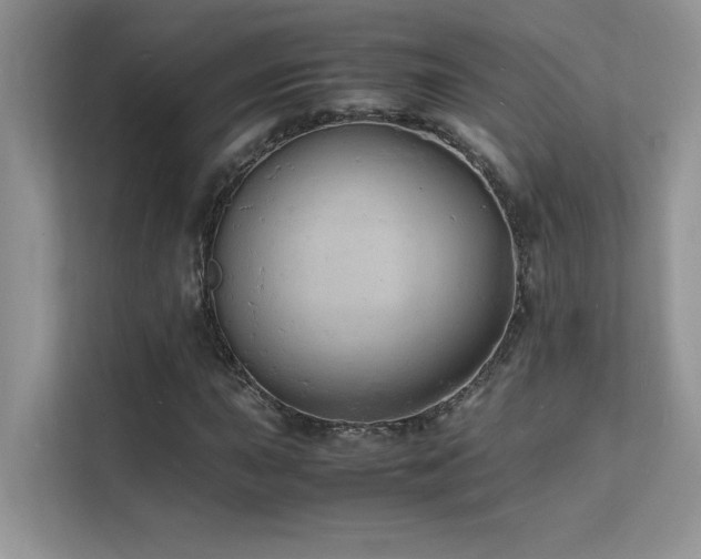 X0000112151015200908071111