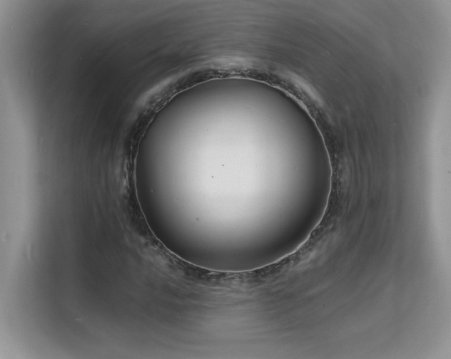 X0000112151016200908071111