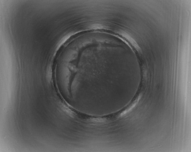 X0000112151023200908071112