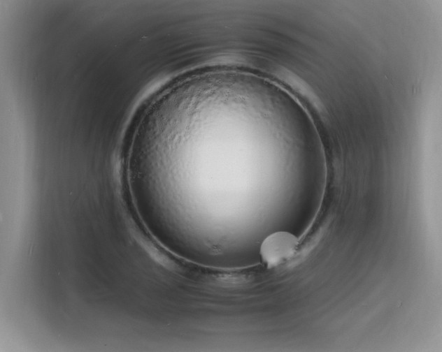 X0000112151029200908071112