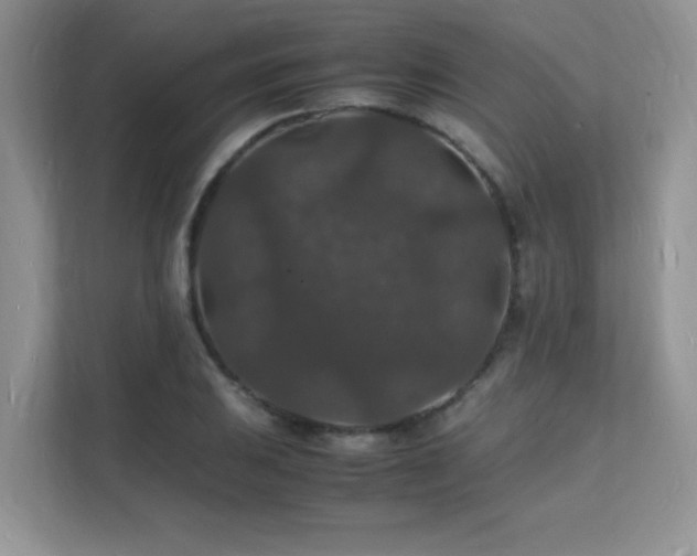X0000112151031200908071112