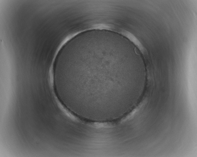 X0000112151032200908071112