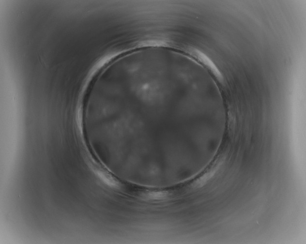 X0000112151035200908071112