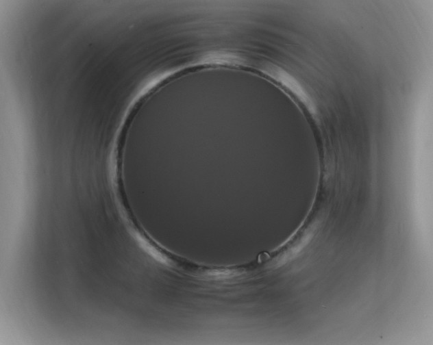 X0000112151037200908071112