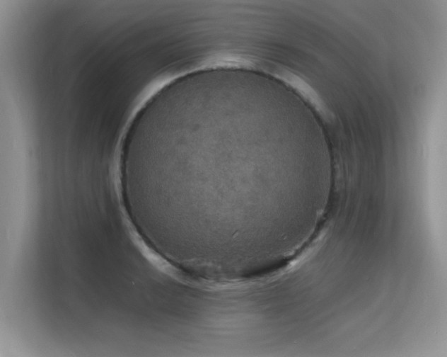 X0000112151038200908071112