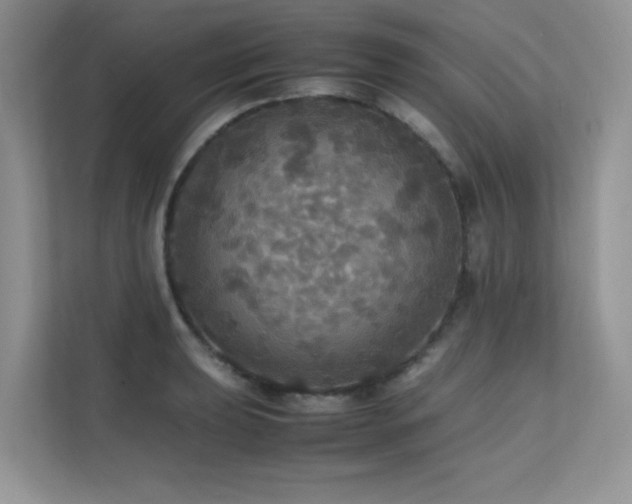 X0000112151039200908071112