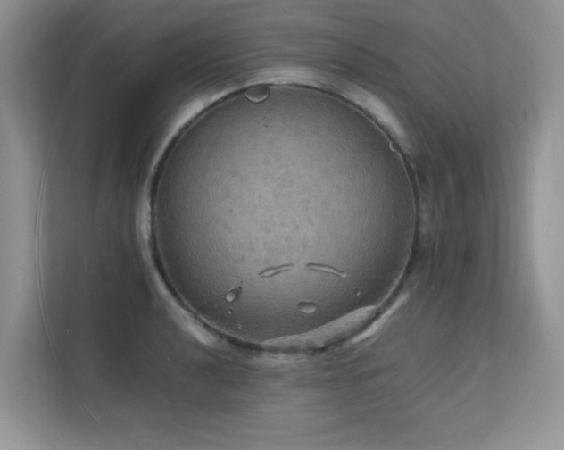 X0000112151040200908071112