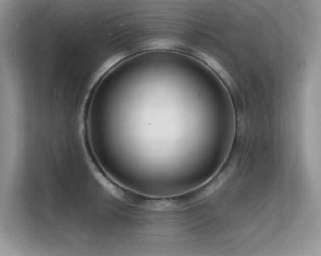 X0000112151042200908071112