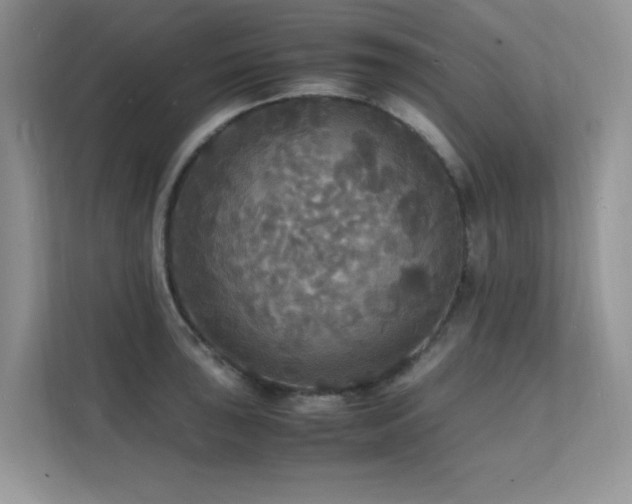 X0000112151043200908071112