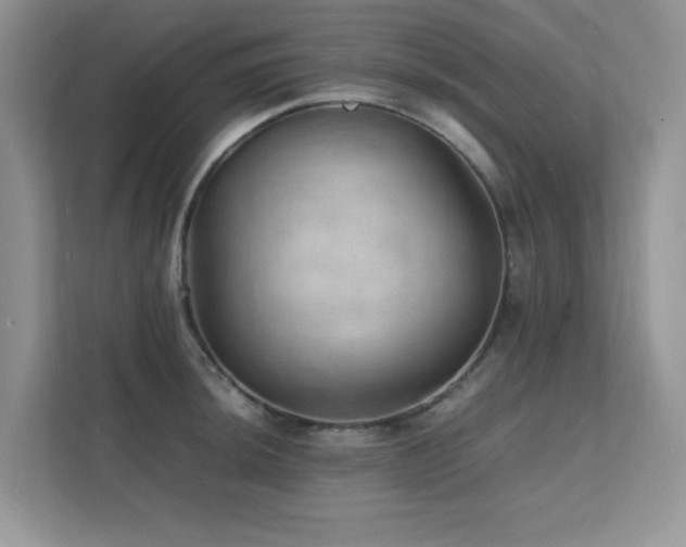 X0000112151044200908071112