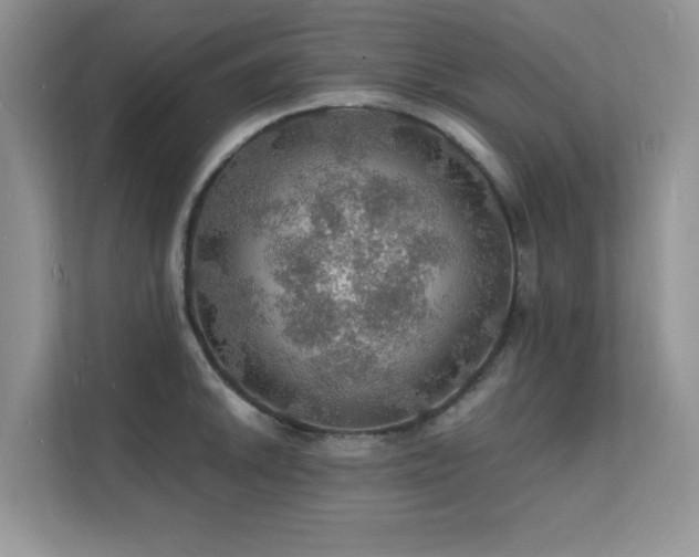 X0000112151046200908071112
