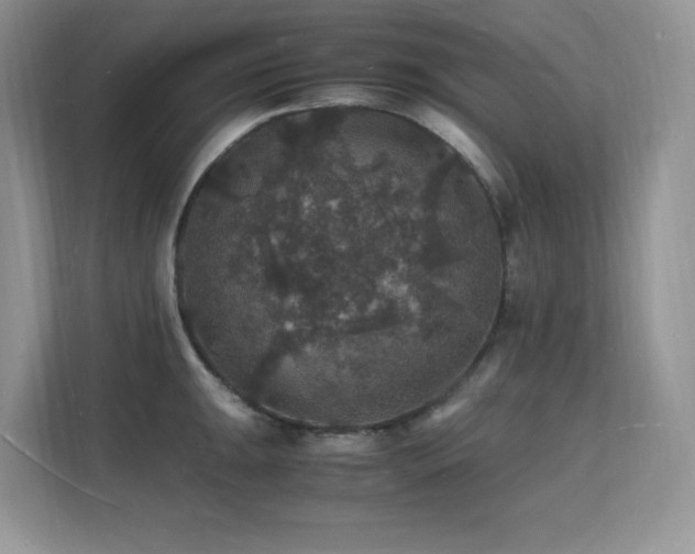 X0000112151047200908071112