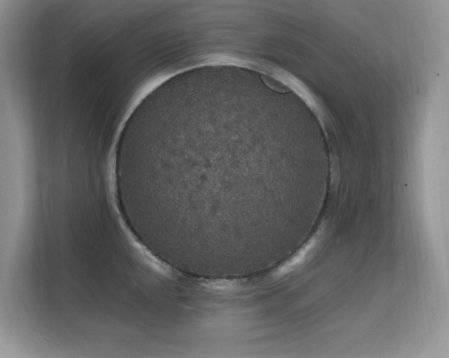 X0000112151048200908071112