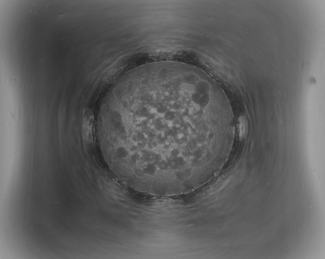 X0000112151059200908071111