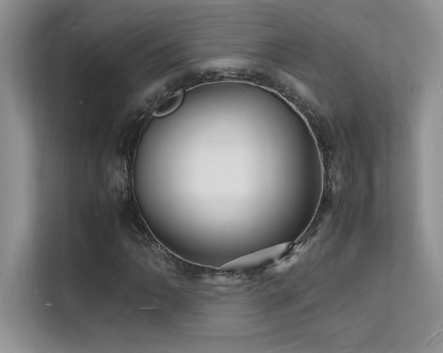 X0000112151062200908071111