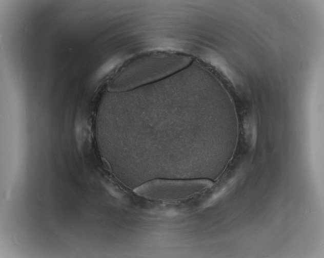 X0000112151064200908071111