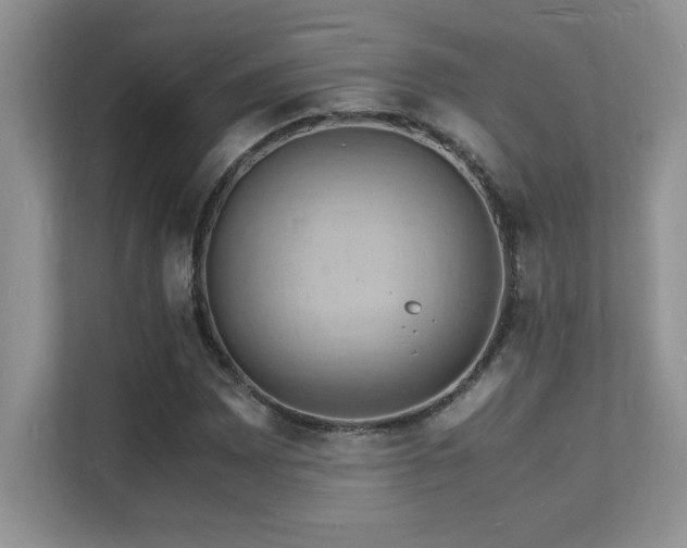 X0000112151065200908071111