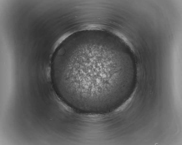 X0000112151066200908071111