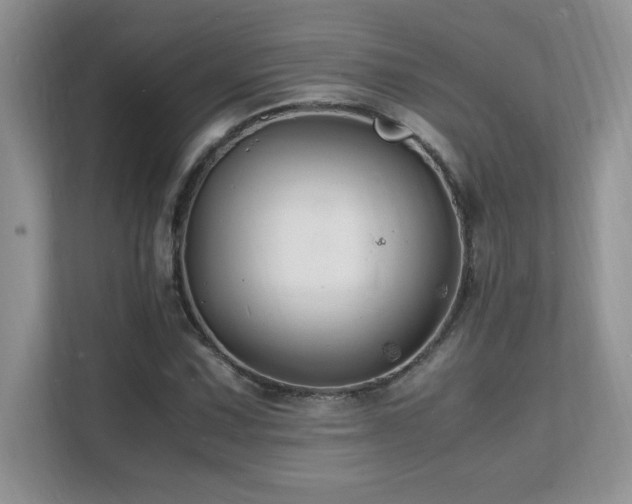 X0000112151067200908071111