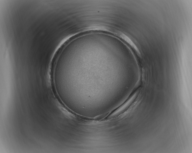 X0000112151068200908071111