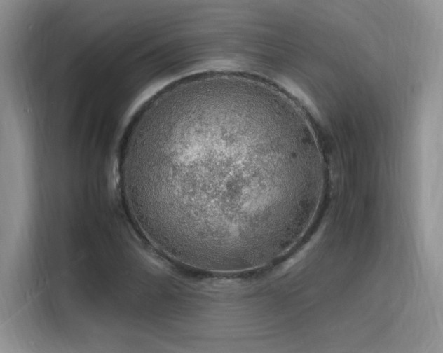 X0000112151070200908071111