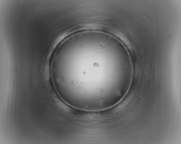 X0000112151075200908071111