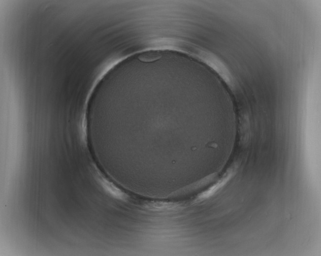 X0000112151076200908071111