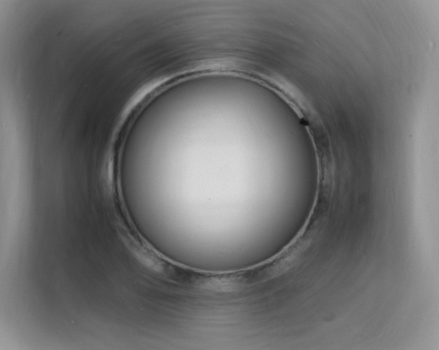 X0000112151078200908071111