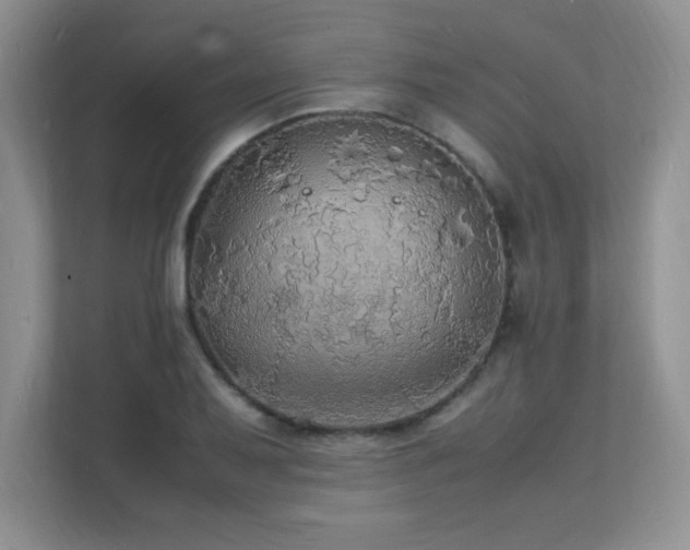 X0000112151079200908071111