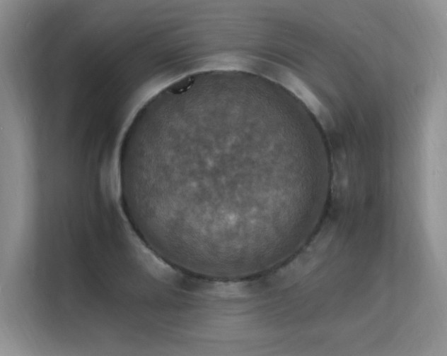 X0000112151080200908071111