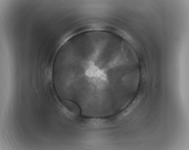 X0000112151081200908071111