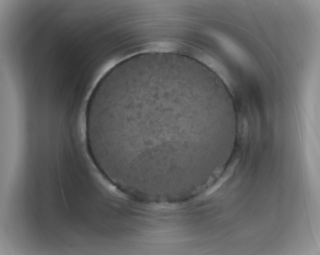 X0000112151083200908071111