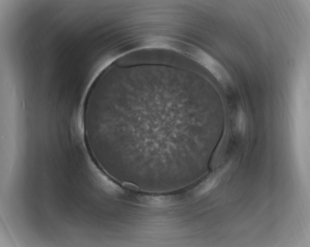 X0000112151084200908071111
