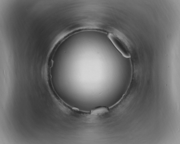 X0000112151085200908071111