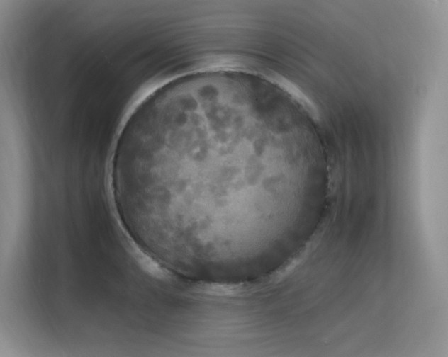 X0000112151086200908071111