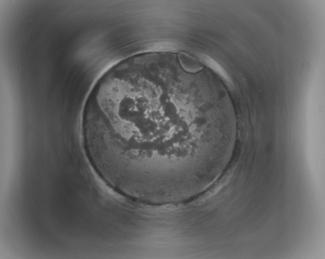 X0000112151087200908071111