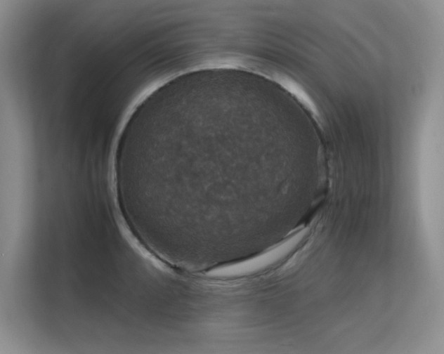 X0000112151088200908071111